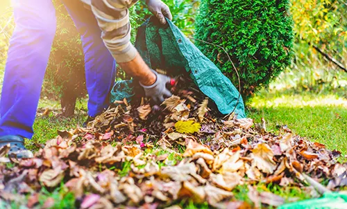 Chiropractic Family Wellness Center - Fall Yard Work